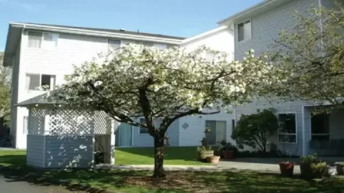 A two-story white building with a grassy courtyard featuring a blooming tree and a small white gazebo